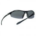 Zone Polarized Sunglasses